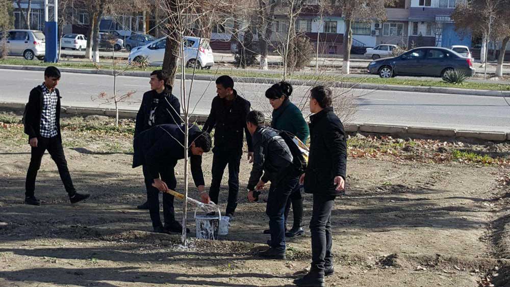 buxdu.uz-Buxoro davlat universiteti