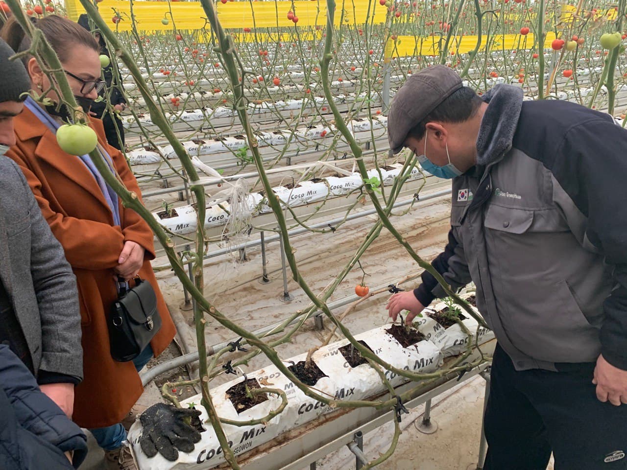 buxdu.uz-Buxoro Davlat Universiteti