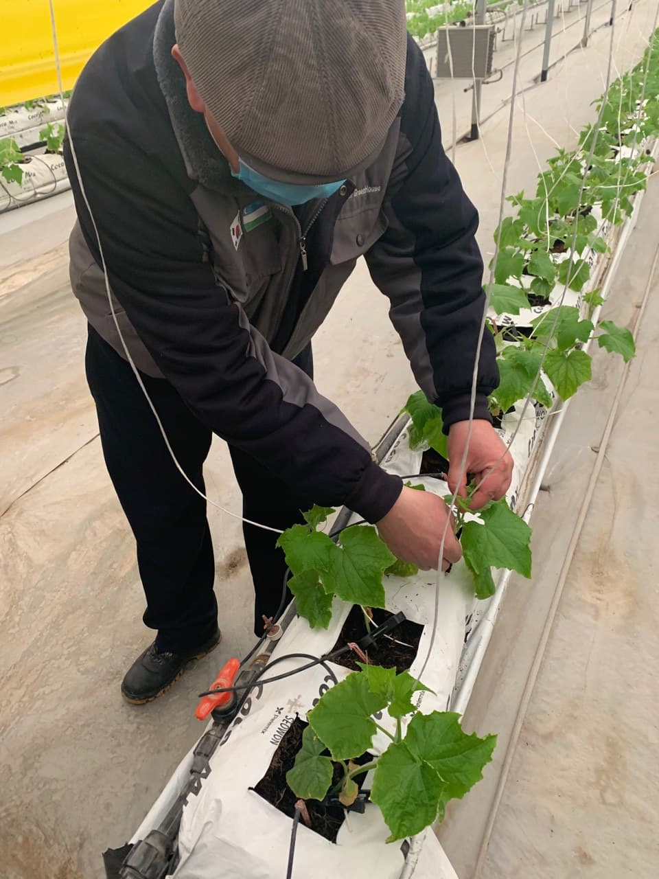 buxdu.uz-Buxoro Davlat Universiteti