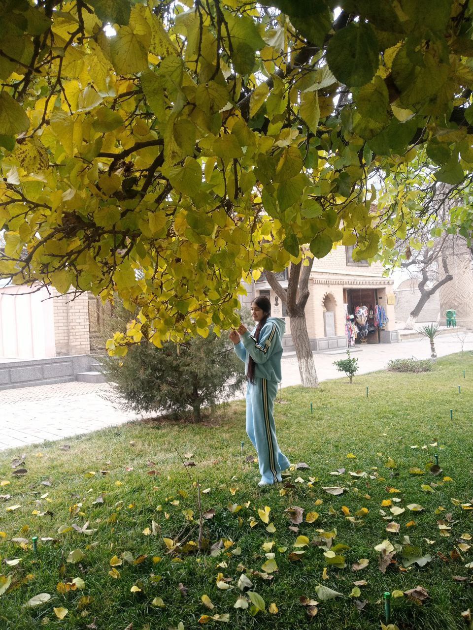 buxdu.uz-Buxoro Davlat Universiteti
